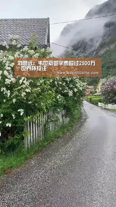 刘思远：韦世豪签字费超过2500万-世界杯投注