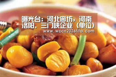 世界杯投注