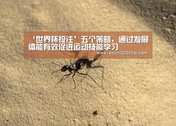 ‘世界杯投注’五个策略,通过发展体能有效促进运动技能学习(图2) 世界杯投注