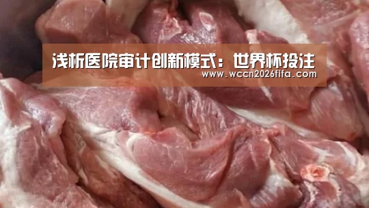 浅析医院审计创新模式:世界杯投注(图2) 世界杯投注