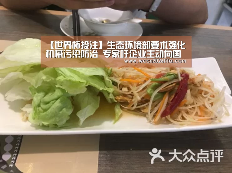 世界杯投注