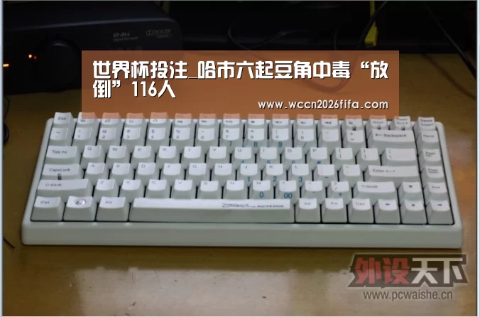 世界杯投注_哈市六起豆角中毒“放倒”116人