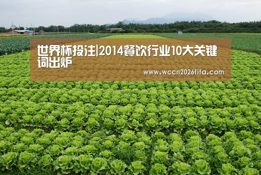 世界杯投注|2014餐饮行业10大关键词出炉(图4) 世界杯投注