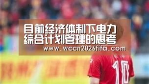 目前经济体制下电力综合计划管理的思考“世界杯投注”(图2) 世界杯投注